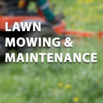 Strictly Cleaning Service_LawnMower-2