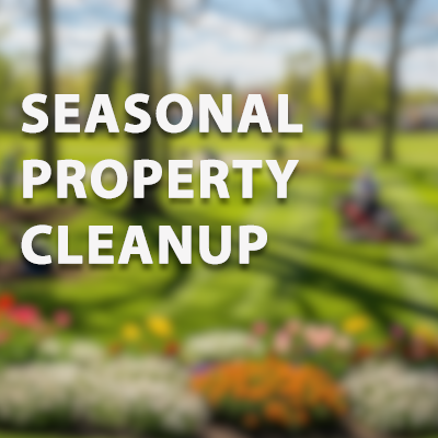 Strictly Cleaning Service_tree team-2
